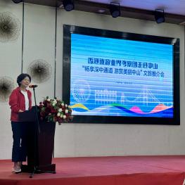 Shenzhen-Zhongshan Link_03